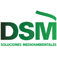 DSM